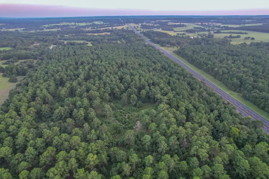 Tract 1 Hwy 155, Frankston, TX 75763 - Image #2