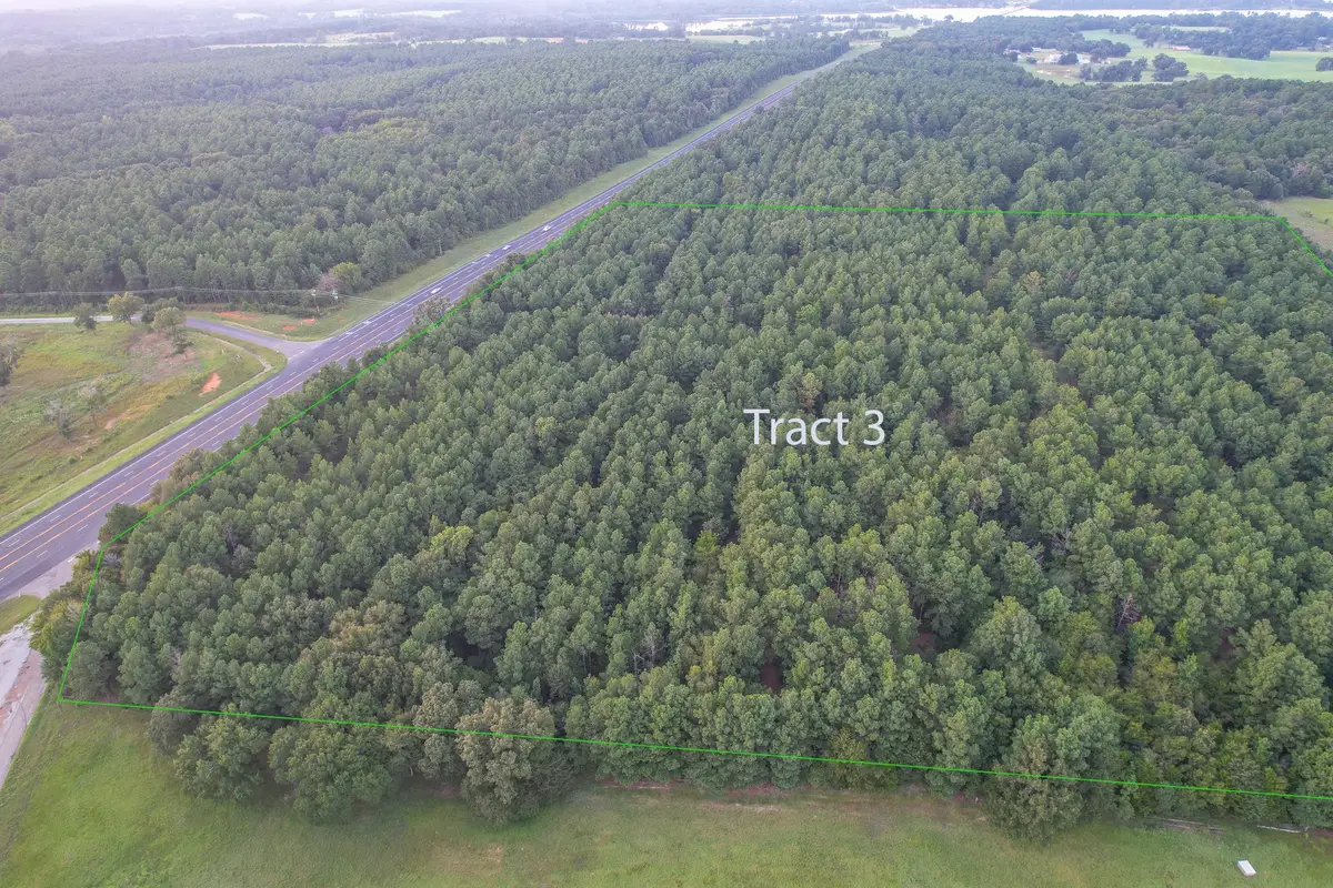 Tract 3 Hwy 155, Frankston, TX 75763 - Image #1