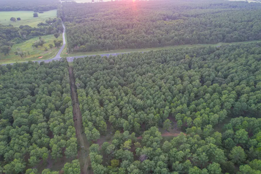 Tract 3 Hwy 155, Frankston, TX 75763 - Image #2