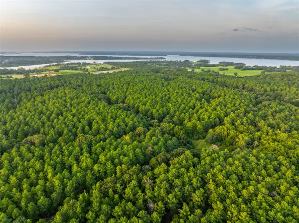 Tract 5 Hwy 155, Frankston, TX 75763