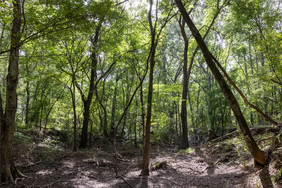 Tract 10 County Road 4222, Frankston, TX 75763 - Image #3