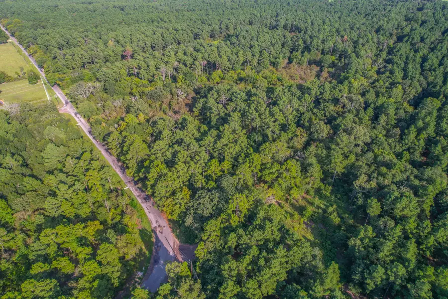 Tract 13 County Road 4224, Frankston, TX 75763 - Image #2