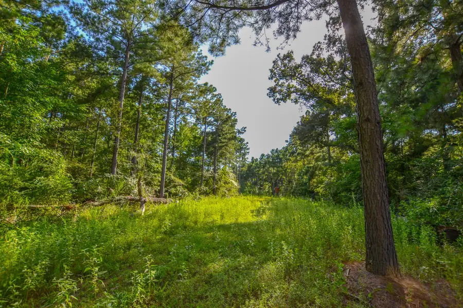 Tract 17 County Road 4224, Frankston, TX 75763 - Image #2