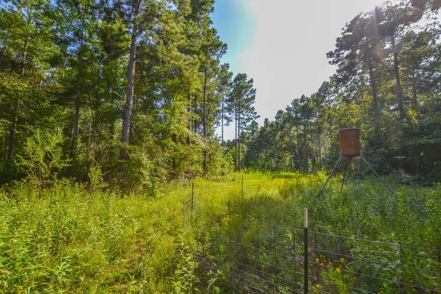 Tract 17 County Road 4224, Frankston, TX 75763 - Image #3