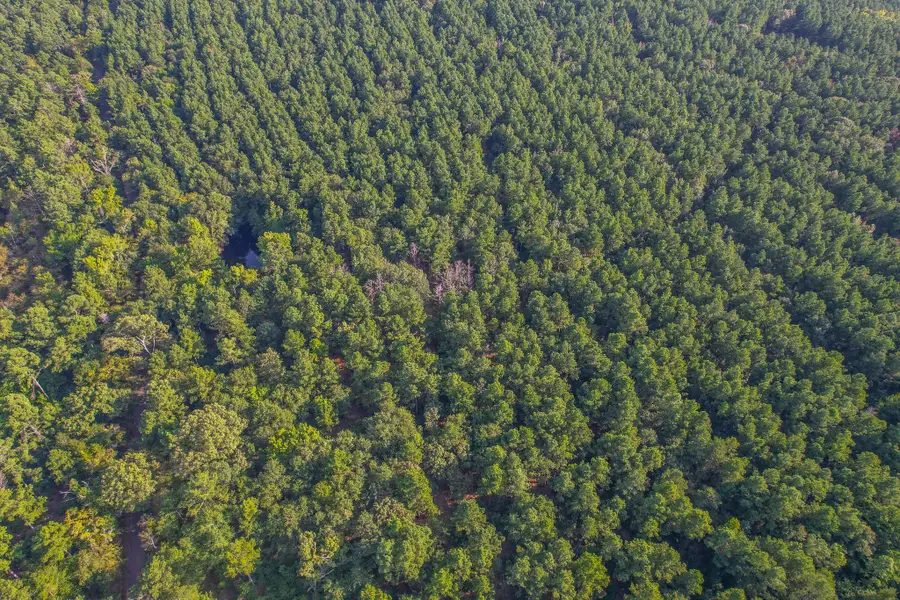 Tract 18 County Road 4224, Frankston, TX 75763 - Image #3