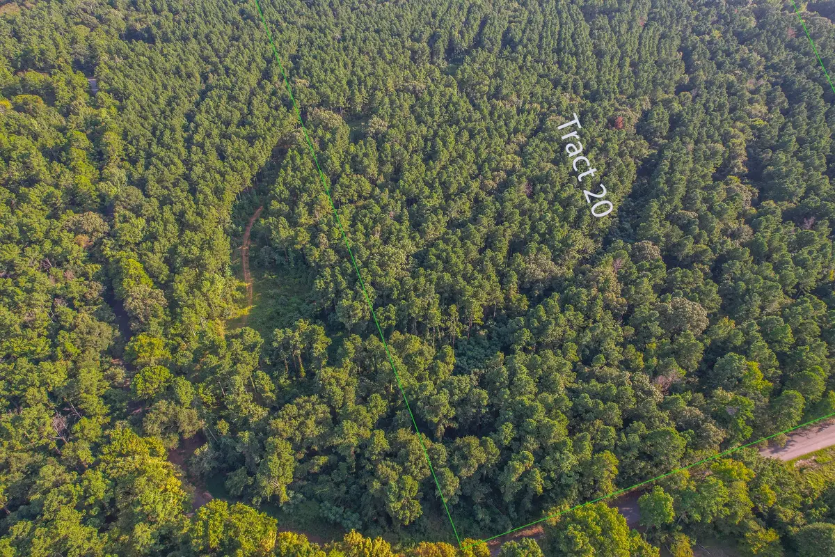 Tract 20 County Road 4224, Frankston, TX 75763 - Image #1