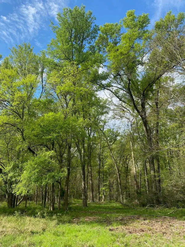 TBD 15 Fm 1848, Buffalo, TX 75831