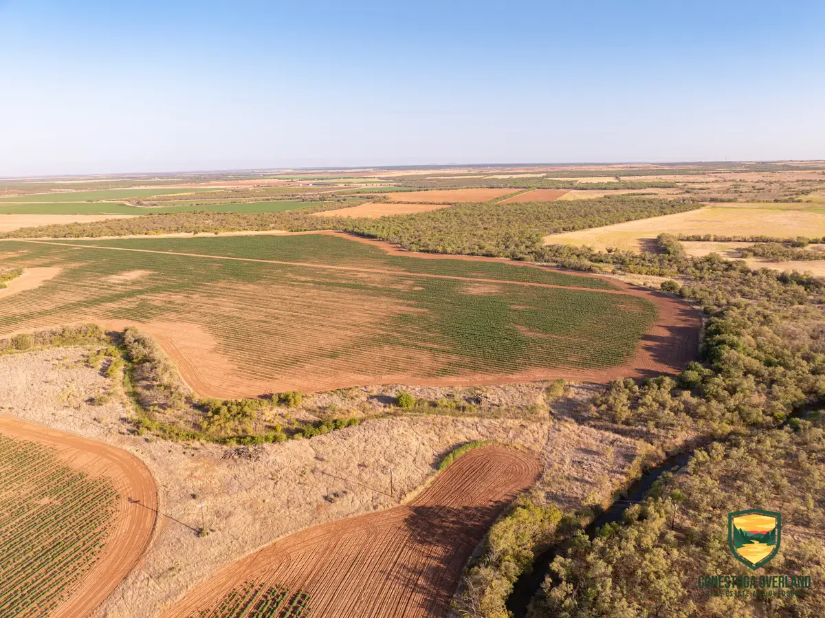 TBD County Road 158, Sylvester, TX 79560 - Image #1