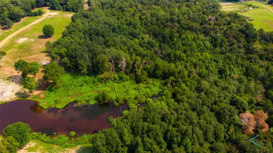 TBD Cr 3606, Brownsboro, TX 75756 - Image #3