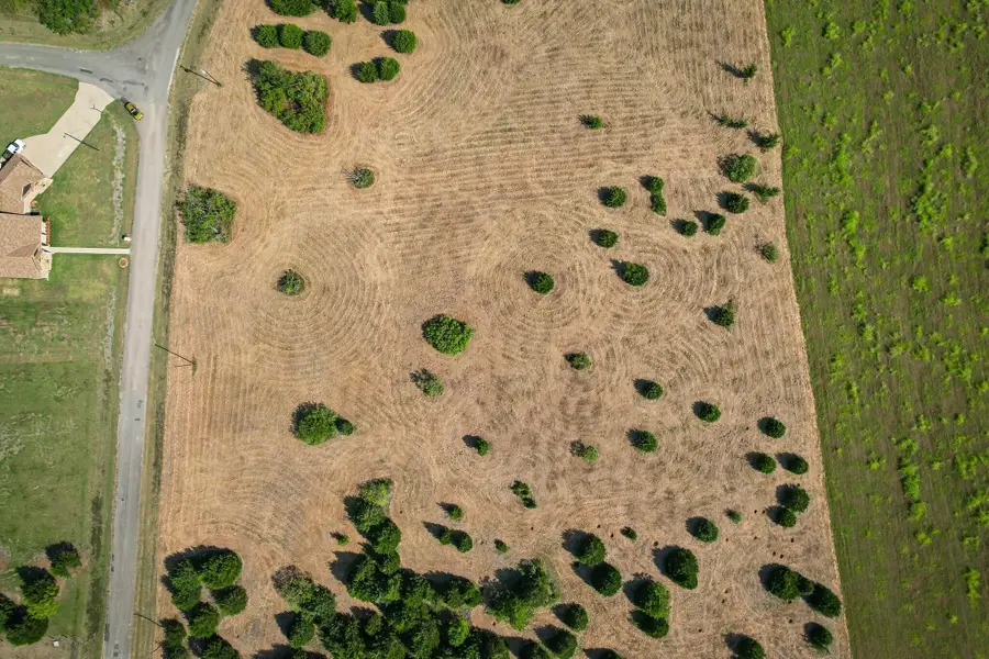 Lot 11 Baybridge, Kerens, TX 75144 - Image #3