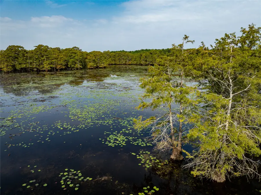 TBD Moon Lake Rd, Jefferson, TX 75657 - Image #3