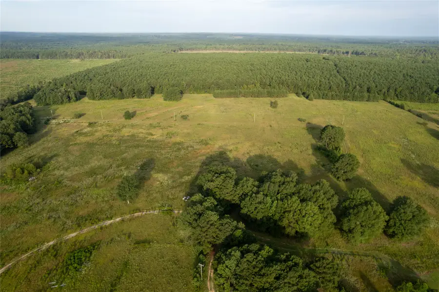 Lake Country (Lot 9) Tx-77, Atlanta, TX 75551 - Image #3