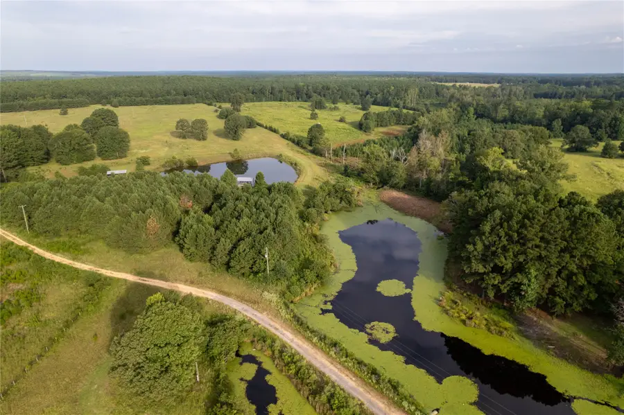 Lake Country (Lot 12) Tx-77, Atlanta, TX 75551 - Image #2