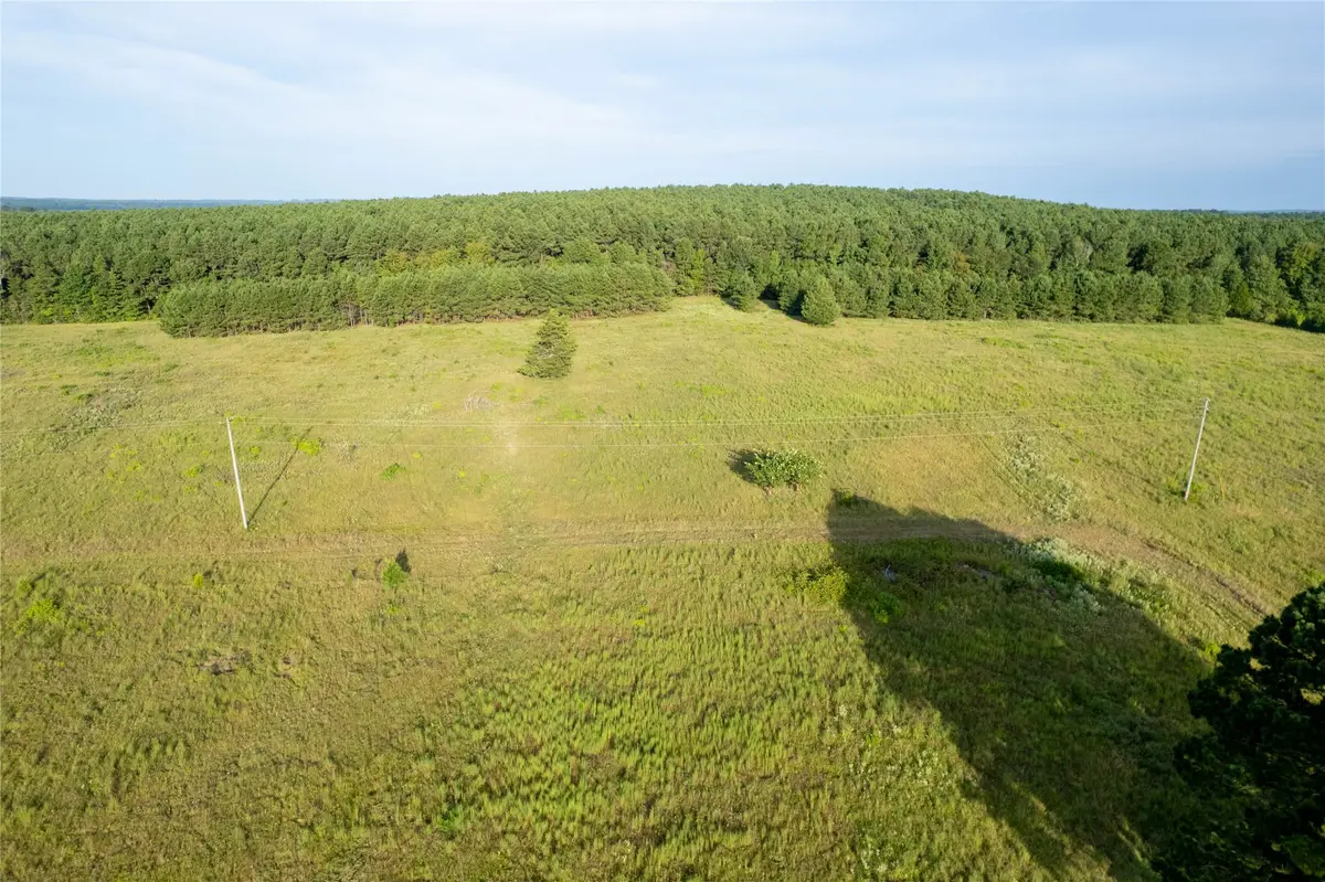 Lake Country (Lot 17) Tx-77, Atlanta, TX 75551 - Image #1