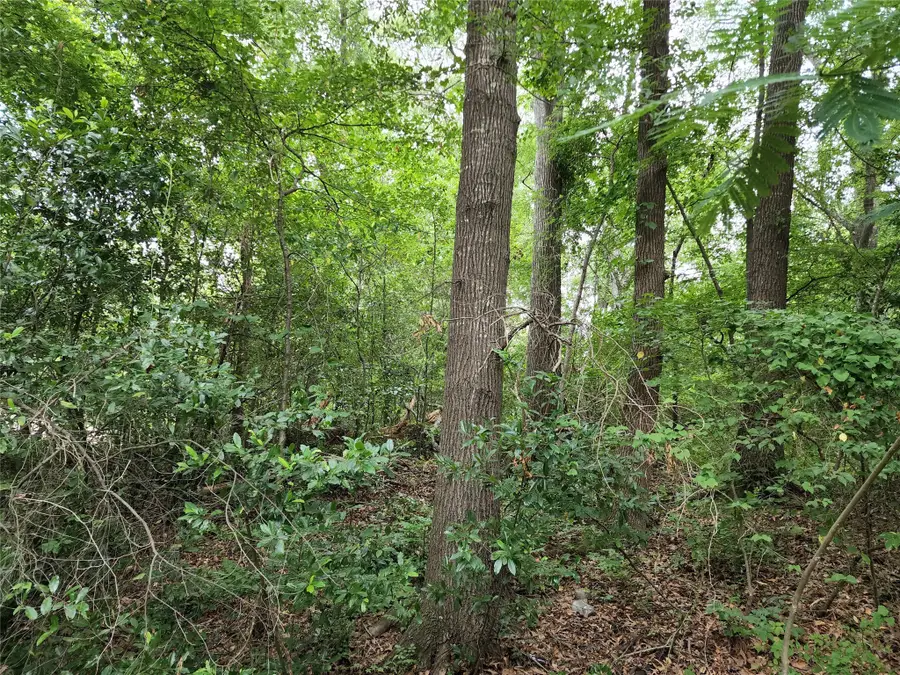 TBD Flournoy Street, Quitman, TX 75783 - Image #2