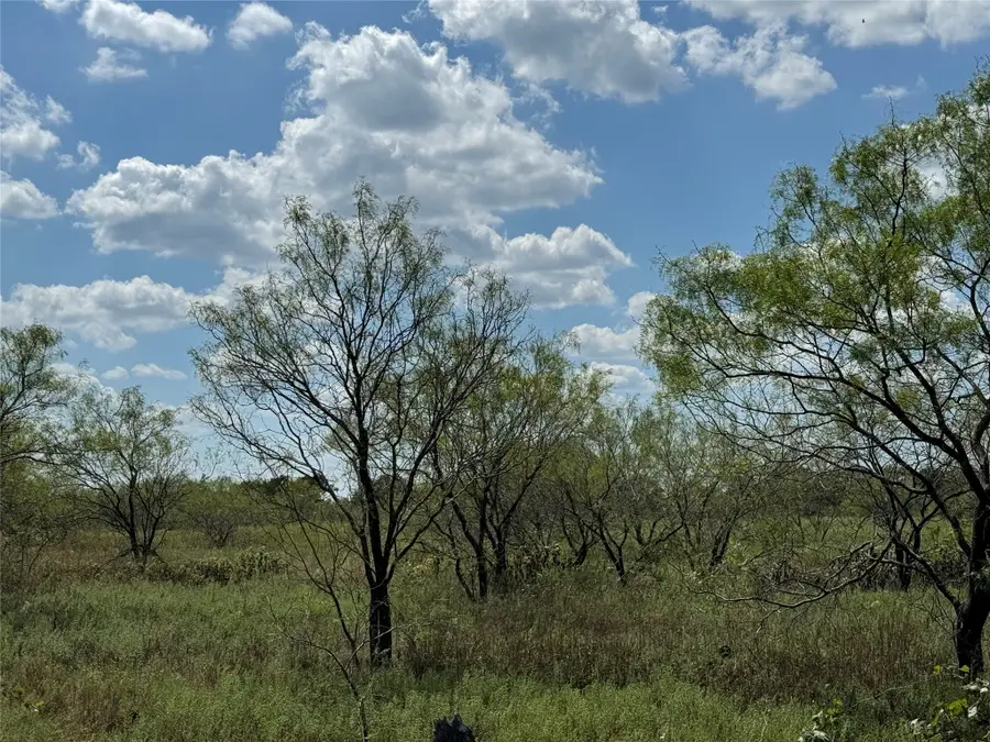 TBD1 County Road 1240, Cleburne, TX 76033 - Image #2