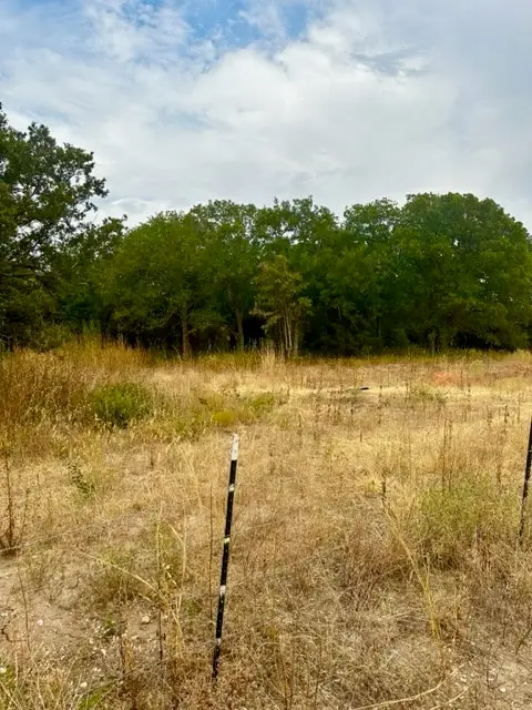 1 Tract 1 Private Rd 3508, Bridgeport, TX 76426 - Image #1