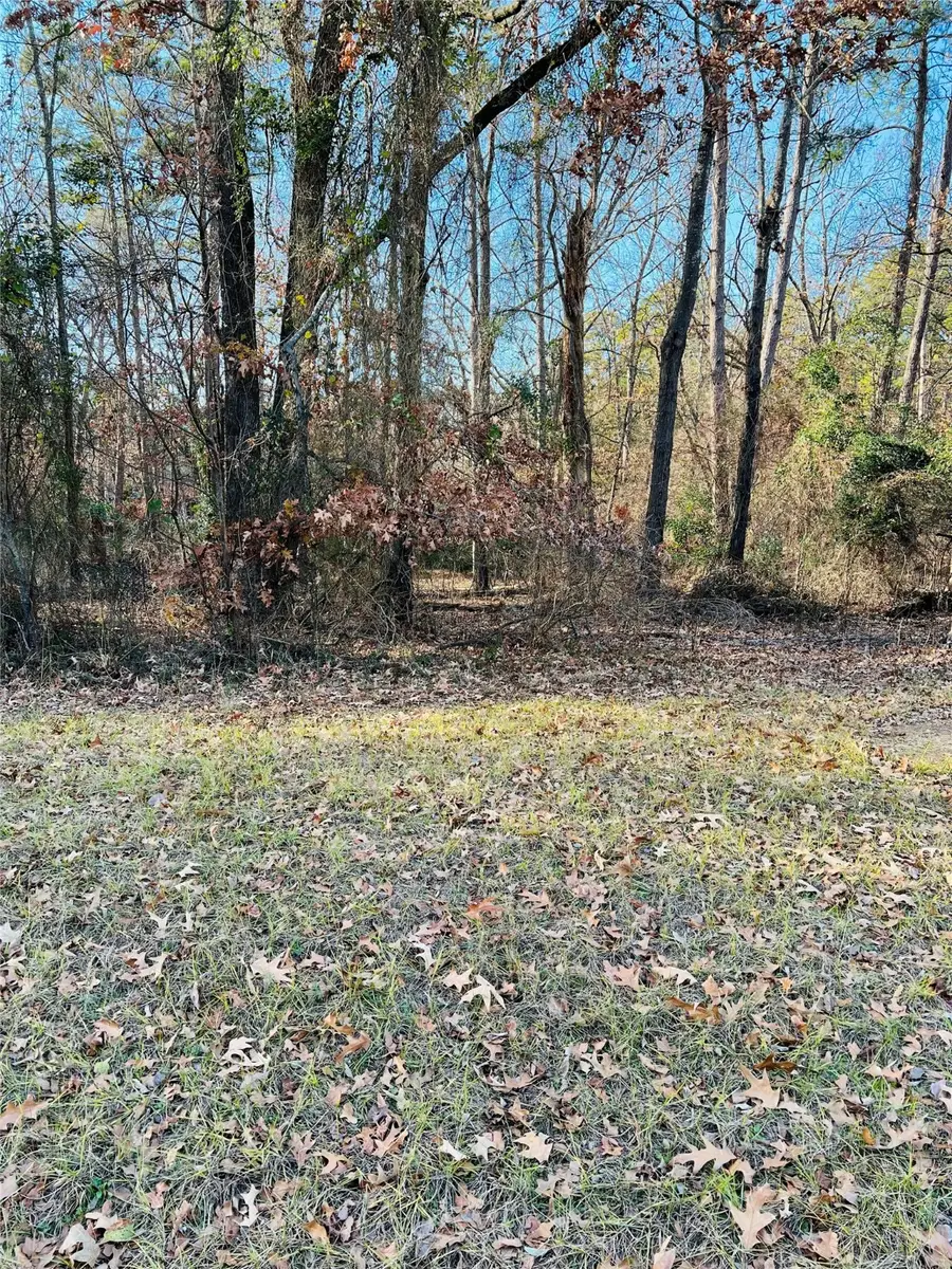 Lot 31 Winding Ln, Mount Vernon, TX 75457 - Image #2