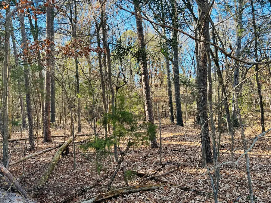 Lot 32 & 33 Winding Lane, Mount Vernon, TX 75457 - Image #3