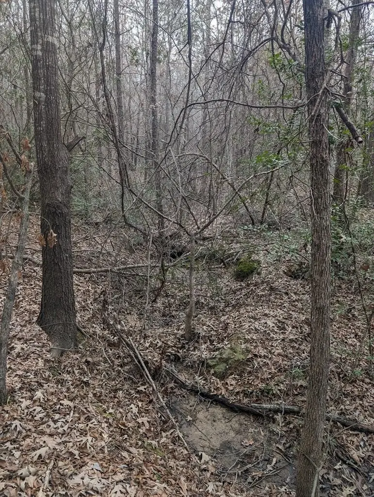 0 County Road 3460, Hawkins, TX 75765 - Image #2