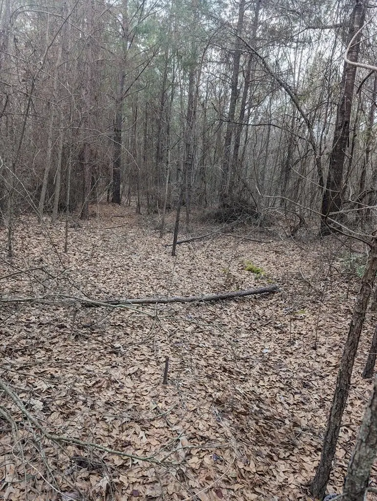 0 County Road 3460, Hawkins, TX 75765 - Image #3