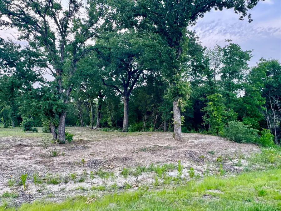 1017 Cedar Hill Drive, Nemo, TX 76070 - Image #2