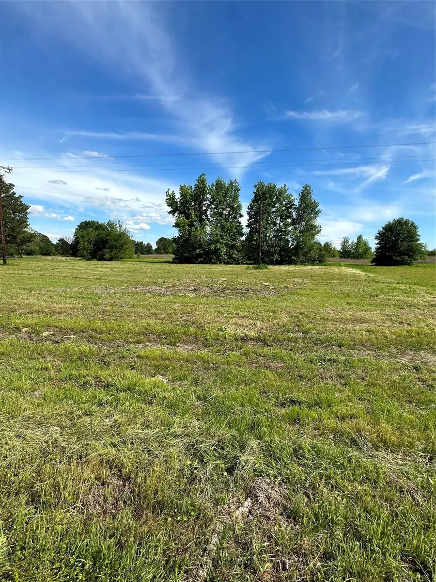 TBD Fm 17, Grand Saline, TX 75140 - Image #2