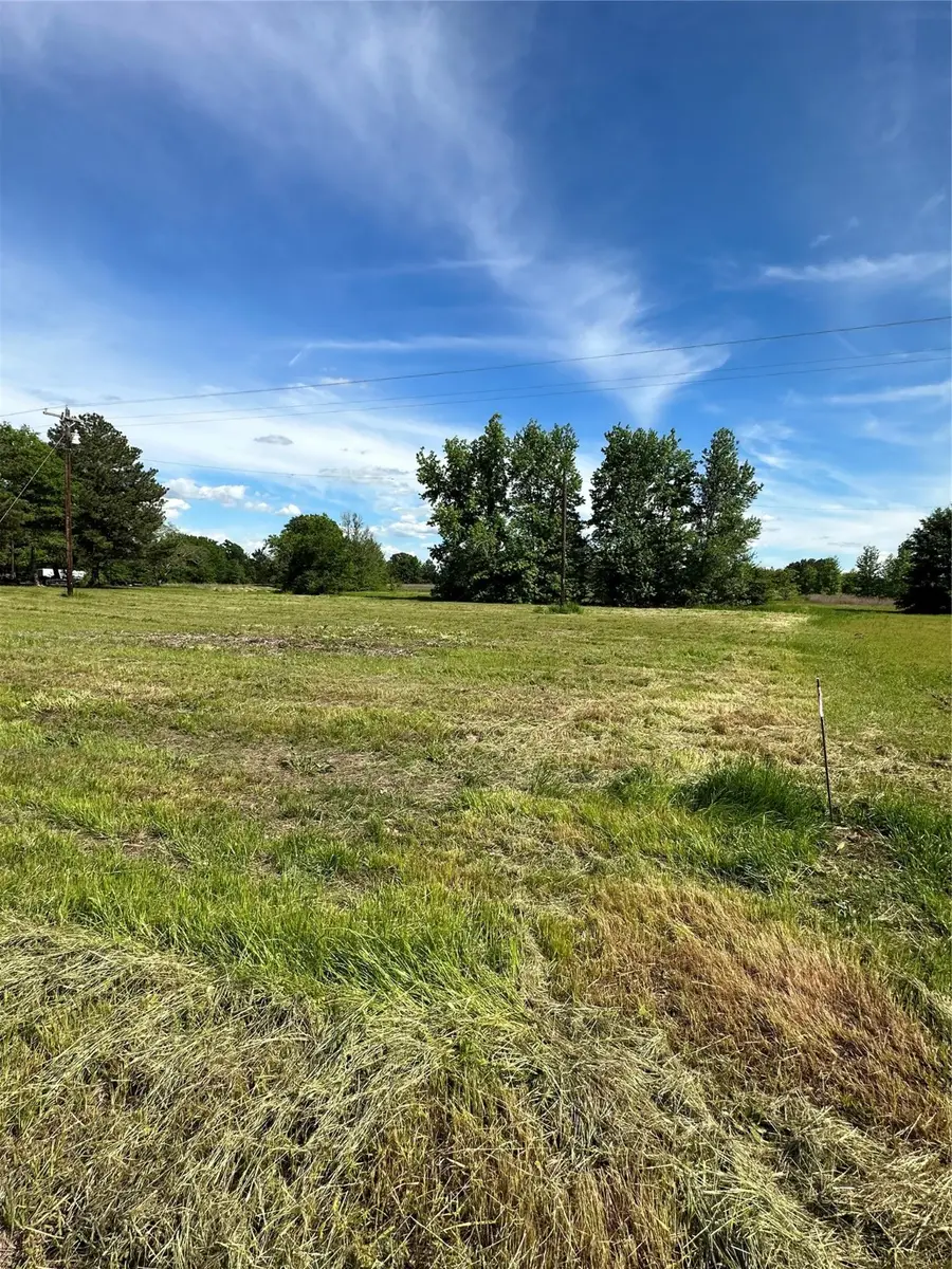 TBD Fm 17, Grand Saline, TX 75140 - Image #3