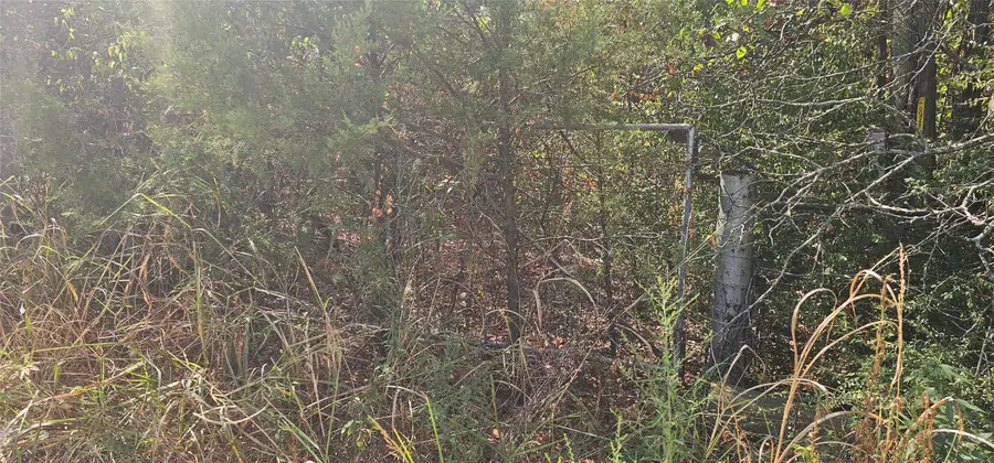 4311 Mckinney Street, Greenville, TX 75401 - Image #3