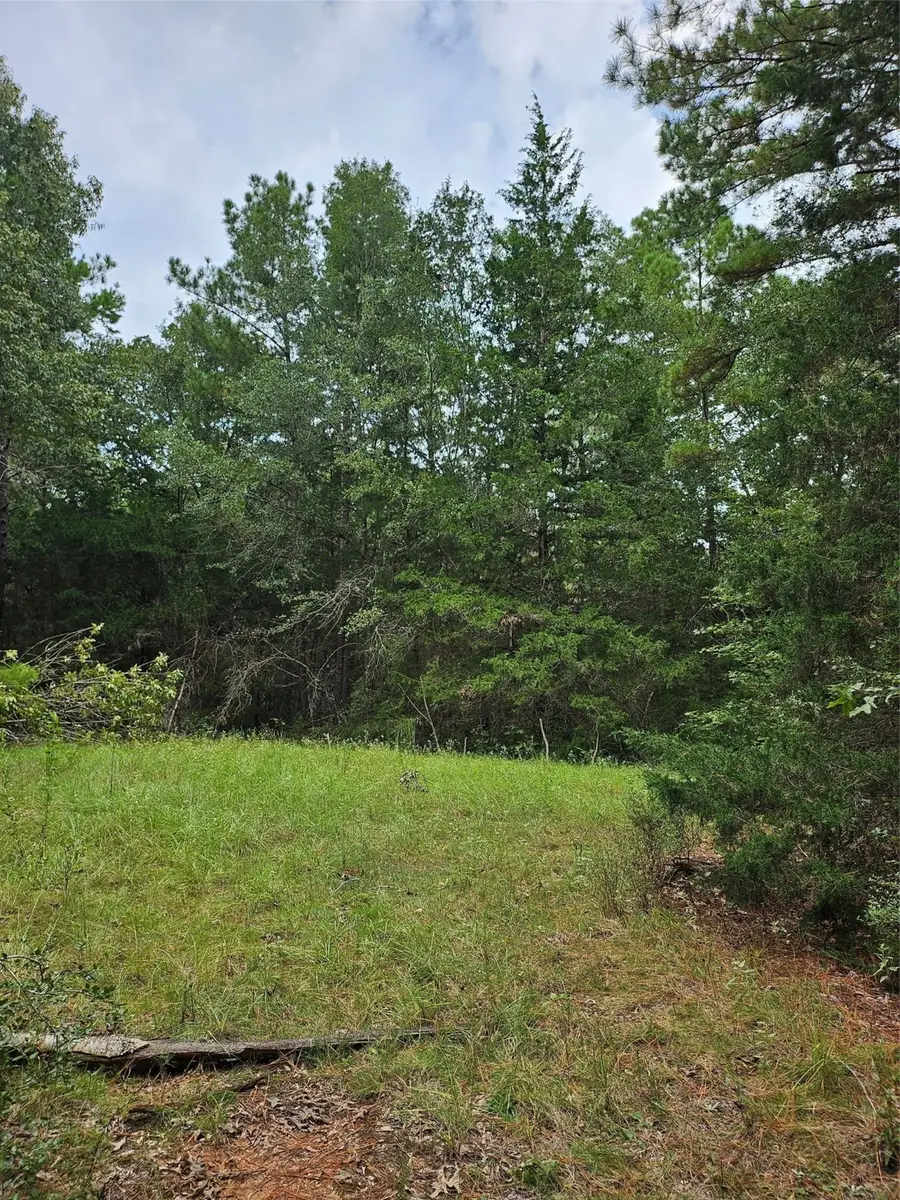 4829 Fm 227 E, Grapeland, TX 75844 - Image #2