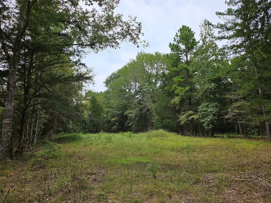 4829 Fm 227 E, Grapeland, TX 75844 - Image #3