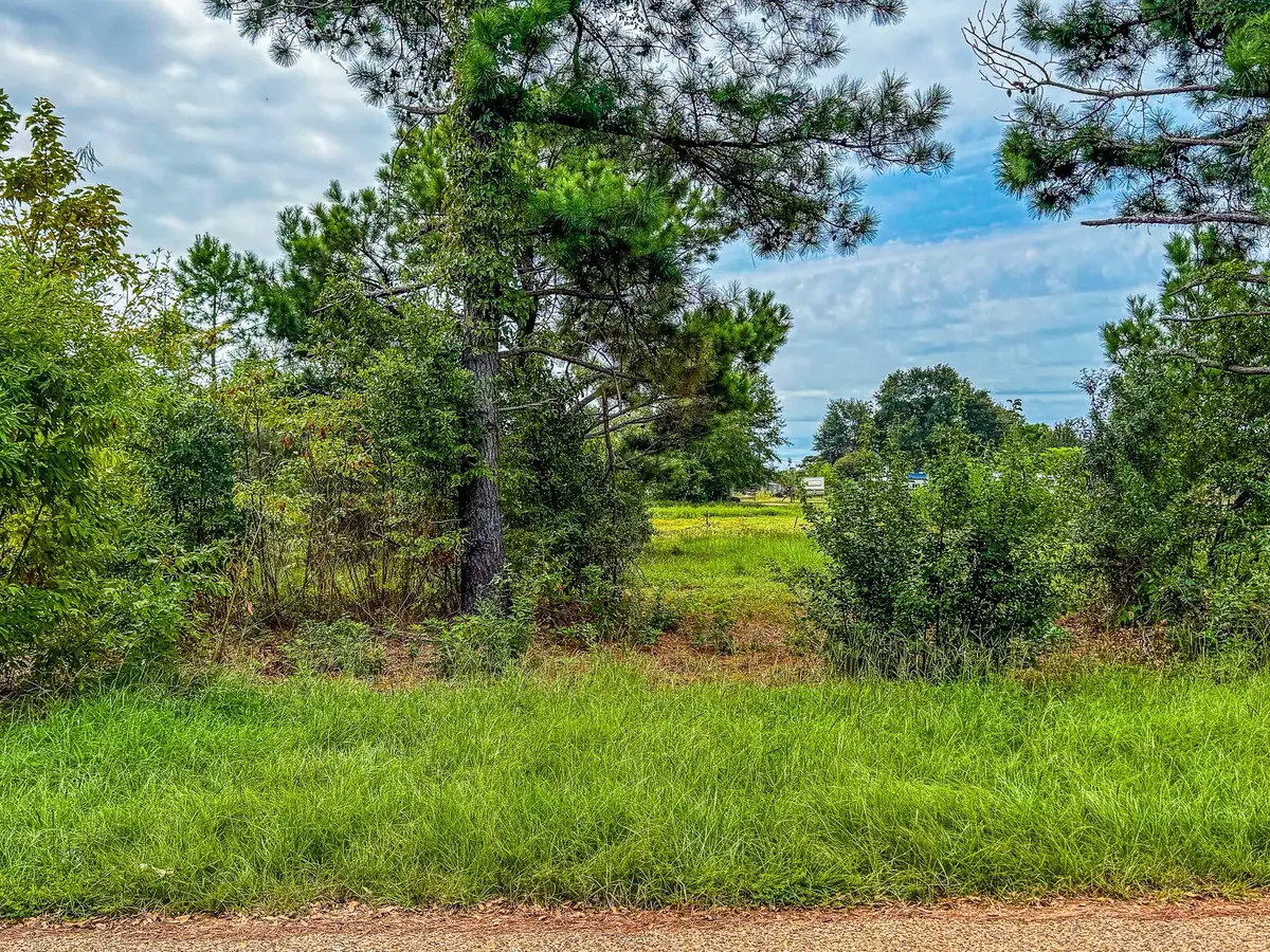 Lot 82 Circle Drive, Chandler, TX 75758 - Image #1
