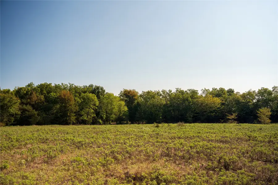 NA County Road 3660, Ladonia, TX 75449 - Image #2