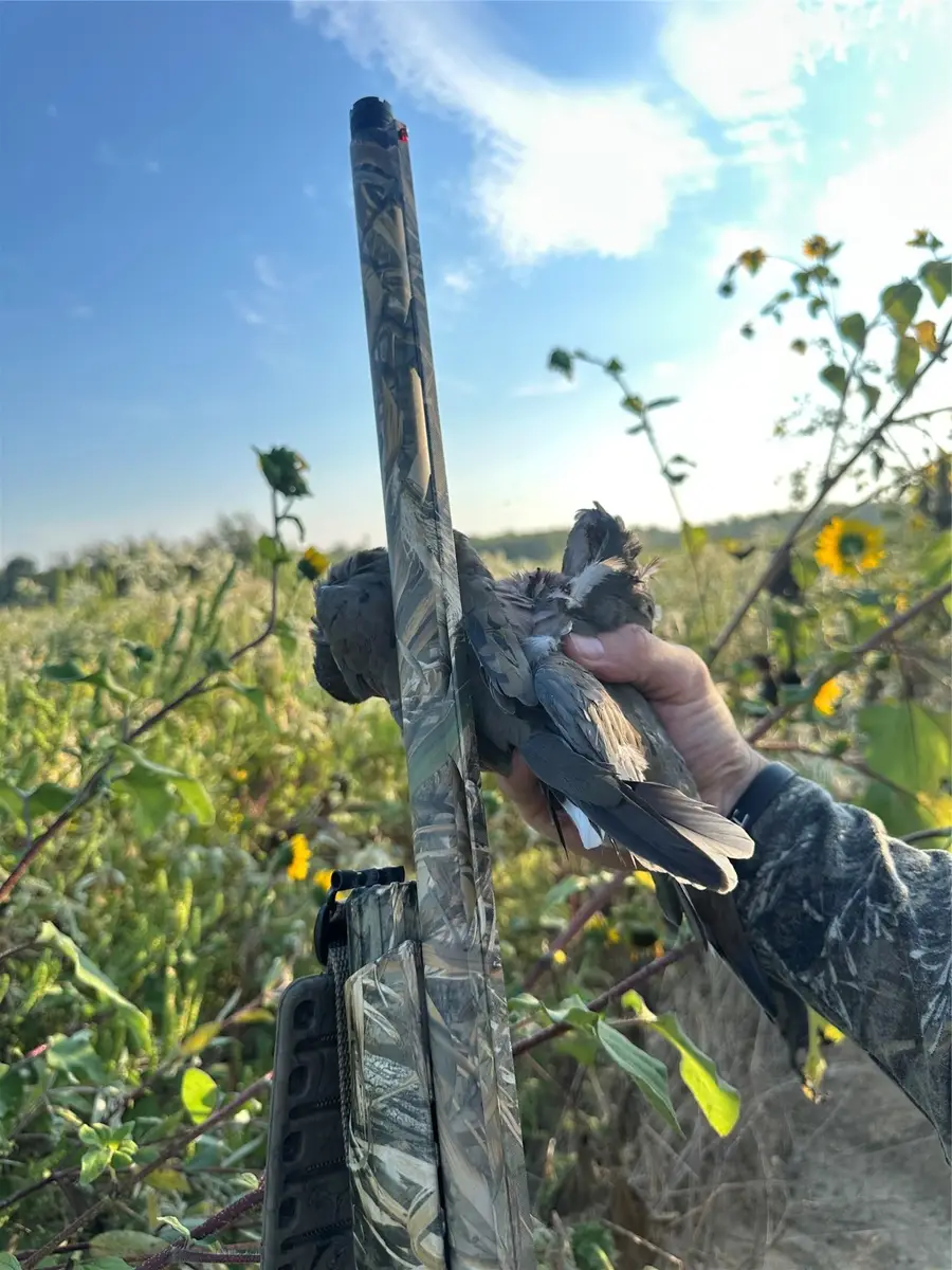 NA County Road 3660, Ladonia, TX 75449 - Image #3