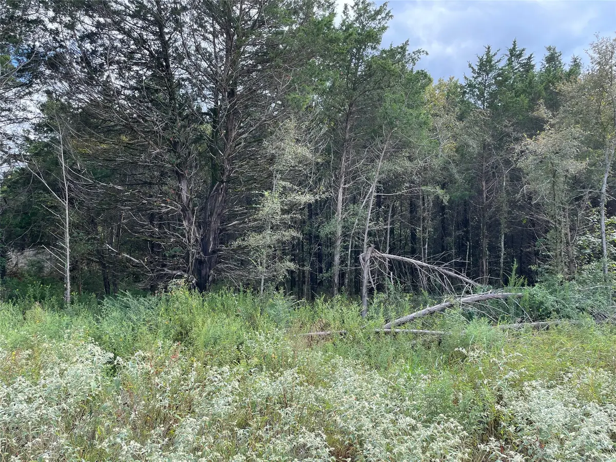 19421 Cedarpark Place, Lindale, TX 75771 - Image #1