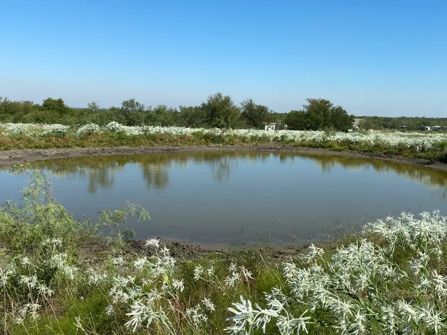 6096 Abner Road, Terrell, TX 75161 - Image #2