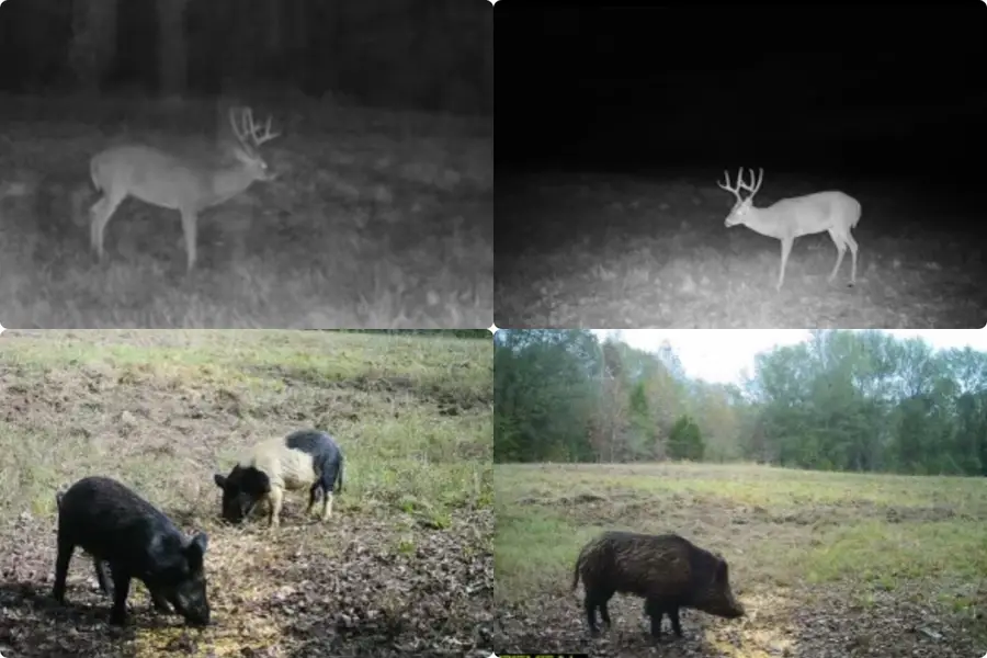 Tract A Hwy 69, Mineola, TX 75773 - Image #2