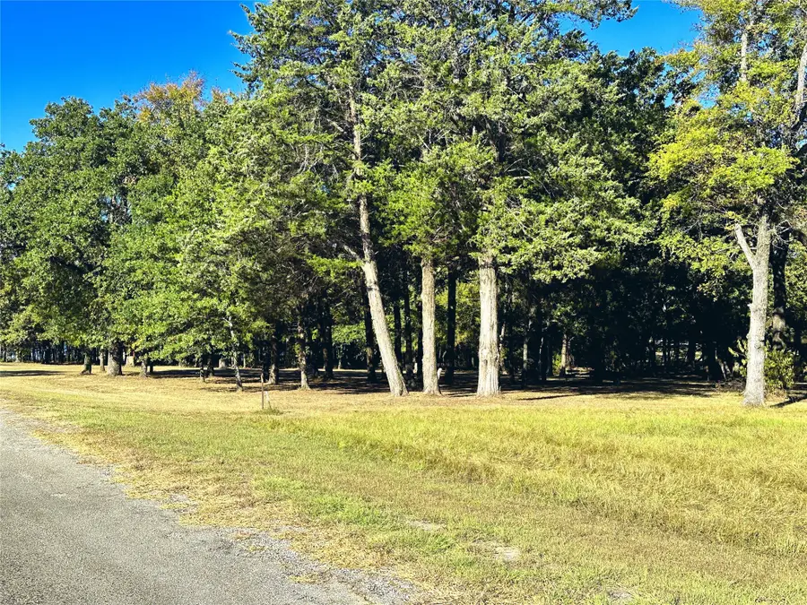 Lot 65 Sombrilla Lane, Kerens, TX 75144 - Image #2