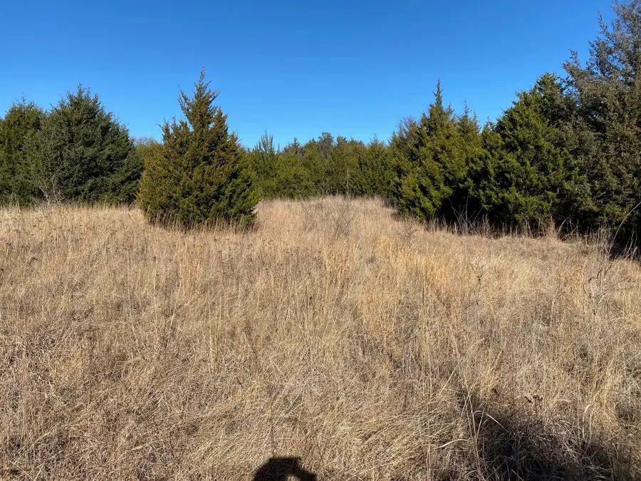 37 ac Club Lake Lane, Whitesboro, TX 76273 - Image #3