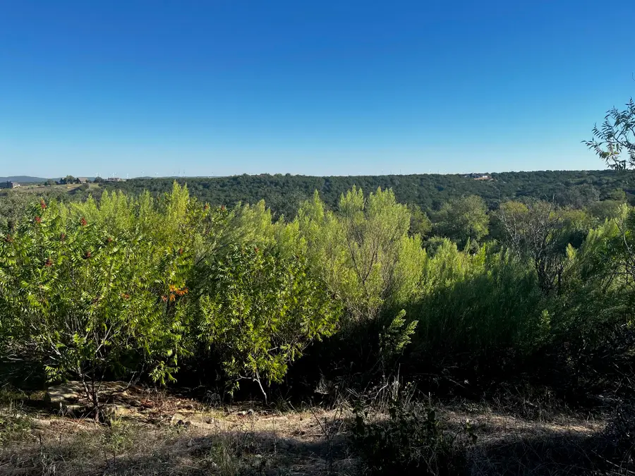 Lot 297 Shooting Star Court, Possum Kingdom Lake, TX 76449 - Image #3