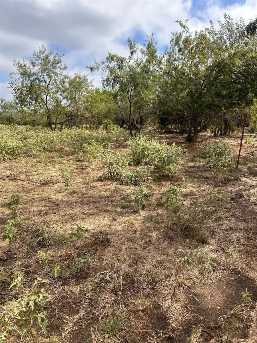 0 Cr-237a, Terrell, TX 75160 - Image #3