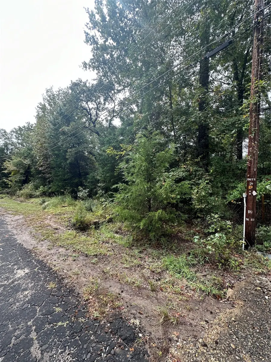 TBD Whipporwill, Murchison, TX 75778 - Image #2