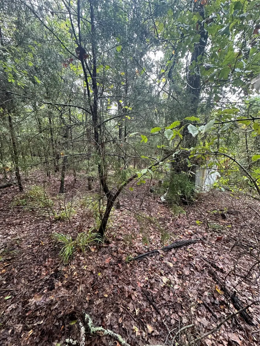 TBD Whipporwill, Murchison, TX 75778 - Image #3