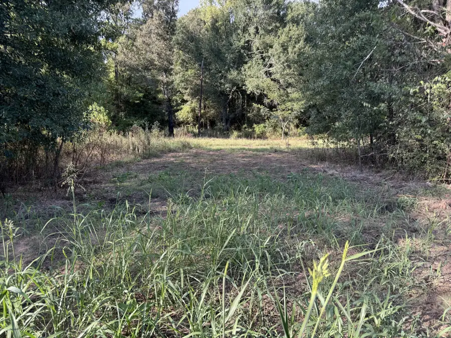 000 Cr 2362, Bagwell, TX 75412 - Image #3