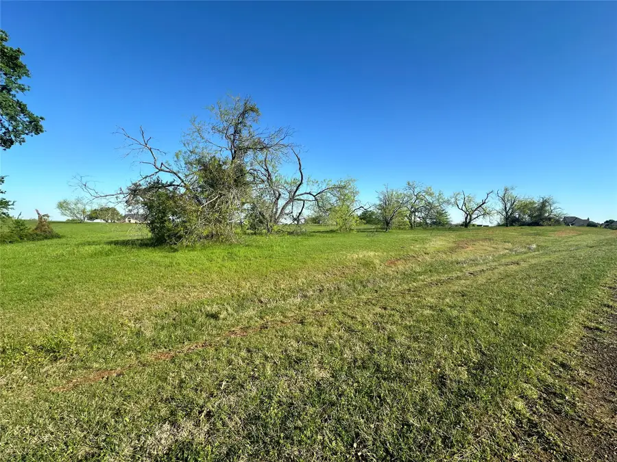 Lot 81 Moonlight Bay Court, Streetman, TX 75859 - Image #3