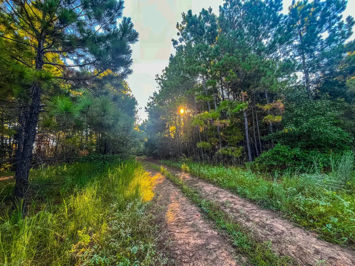 00 W Us Highway 175, Jacksonville, TX 75766 - Image #1