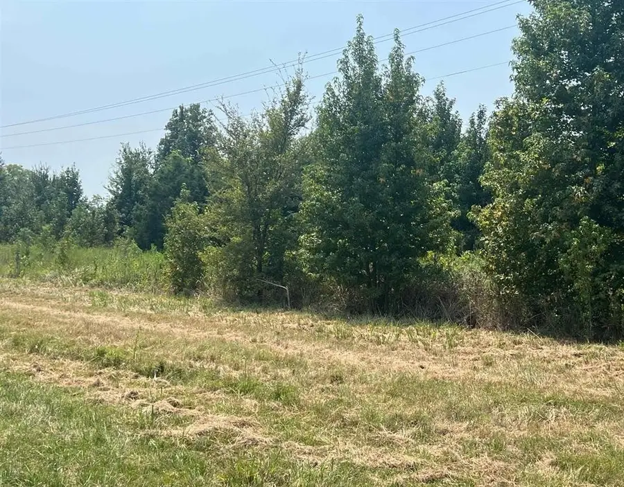 TBD Fm 1402, Mount Pleasant, TX 75455 - Image #2