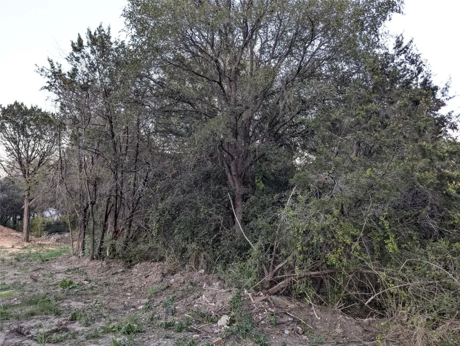 914 Indian Creek Drive, Granbury, TX 76048 - #3