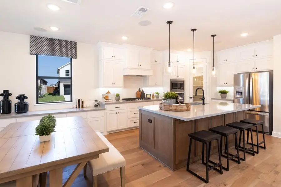 809 Mountain Aloe Drive, Justin Roanoke, TX 76247 - Image #3