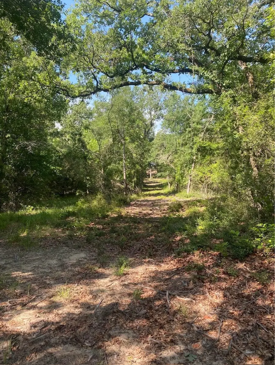 TBD 14 Fm 1848, Buffalo, TX 75831 - Image #2